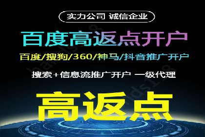案例分析：打造高效竞价推广策略